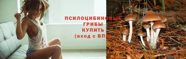 мяу мяу мука Верхний Тагил