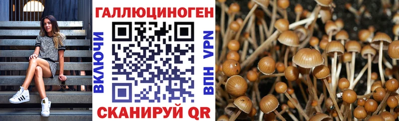 KRAKEN ССЫЛКА  Ишимбай  Псилоцибиновые грибы Psilocybine cubensis 